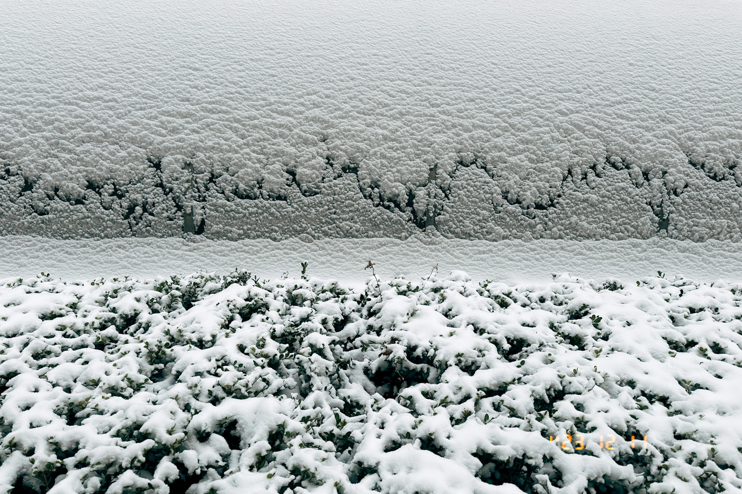 cover of previous post